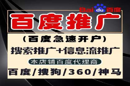 实战案例：SEM公司助力电商企业实现快速增长